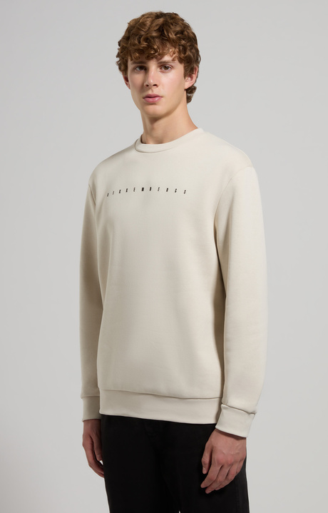 Heavyweight men's sweatshirt, SILVER BIRCH, hi-res-1