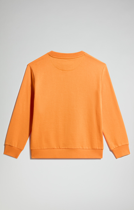 Boy's sweatshirt with logo, RUSSET ORANGE, hi-res-1