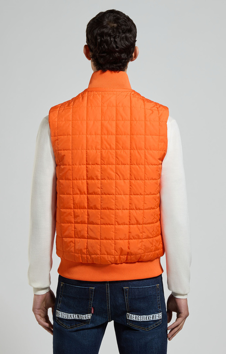 Men's sleeveless jacket, SCARLET IBIS, hi-res-1