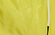 Men's print boardshorts, YELLOW, swatch-color