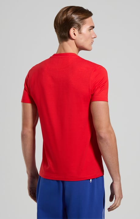 Men's print T-shirt - slim fit, POMPEIAN RED Men's print T-shirt - slim fit, POMPEIAN RED, hi-res-1