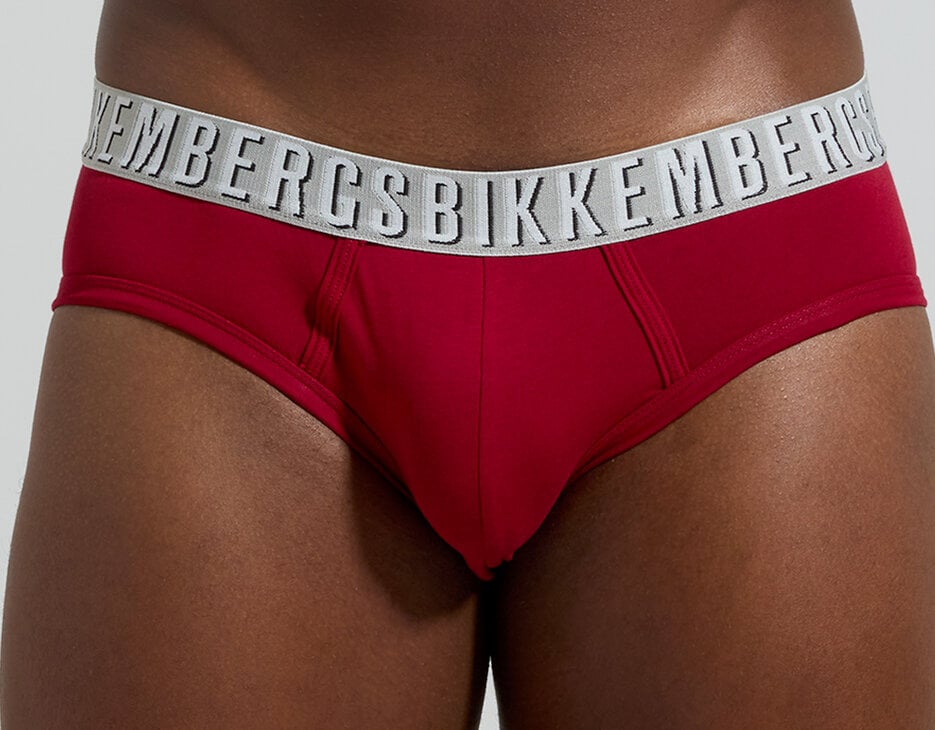 2-pack men's briefs, BORDEAUX 2-pack men's briefs, BORDEAUX, hi-res-1