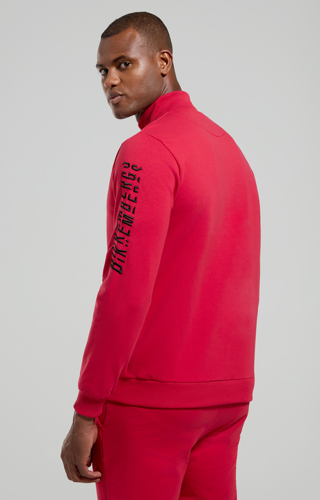 Embroidered men's sweatshirt, CHILI PEPPER, hi-res-1