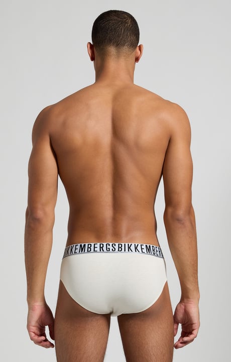 3-Pack men's briefs, FOREST 3-Pack men's briefs, FOREST, hi-res-1