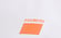 Slim fit printed men’s T-shirt, WHITE, swatch-color