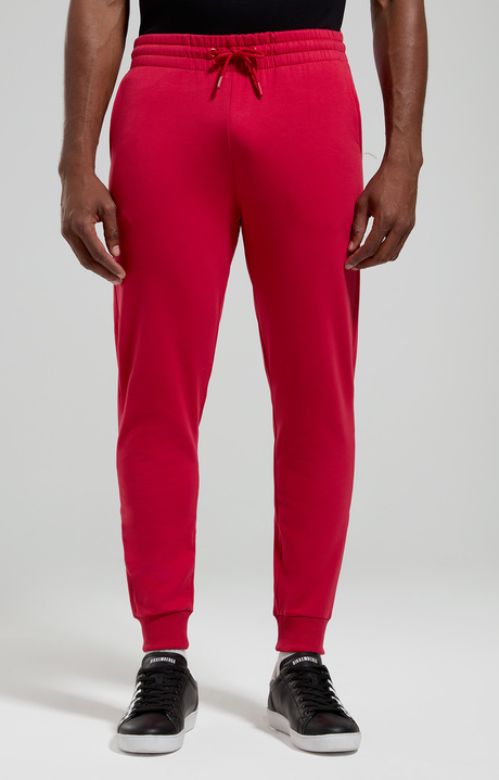 Embroidered men's joggers, CHILI PEPPER, hi-res-1