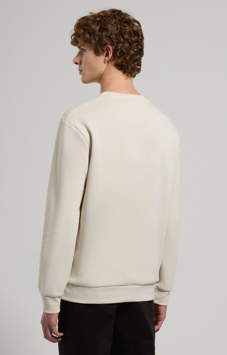 Heavyweight men's sweatshirt, SILVER BIRCH, hi-res-1