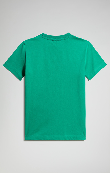 Junior's t-shirt with contrast logo, PEPPER GREEN, hi-res-1