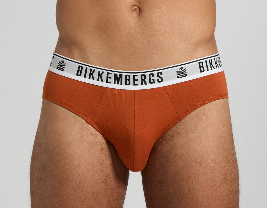 3-Pack men's briefs, MULTICOLOR 3-Pack men's briefs, MULTICOLOR, hi-res-1