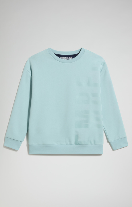 Boys' Cotton Crew Neck Sweatshirt, STERLING BLUE, hi-res-1
