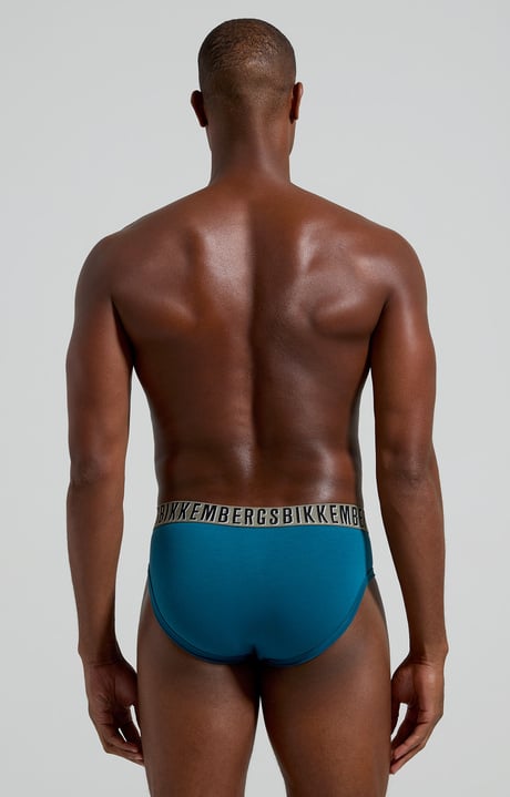 2-pack men's briefs, BLUE 2-pack men's briefs, BLUE, hi-res-1