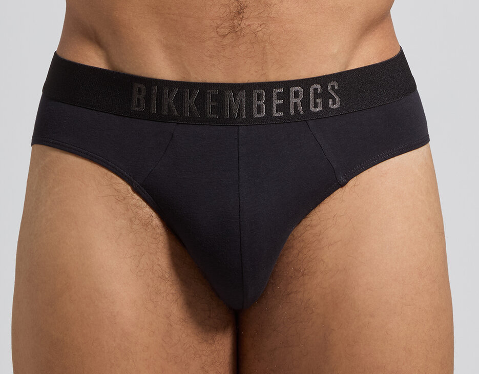 Men's logo waistband brief tripack, ASSORTED COLOUR, hi-res-1