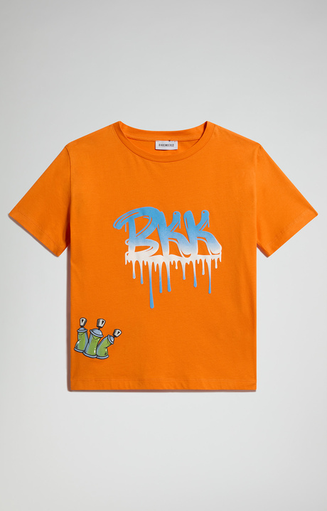 Boy's t-shirt with street print, ORIOLE, hi-res-1