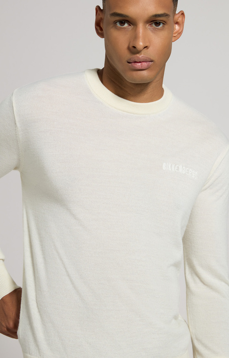 Men's slim fit wool pullover, NATURAL WHITE, hi-res-1