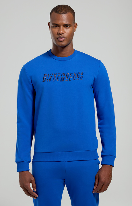 Embroidered men's sweatshirt, SURF THE WEB, hi-res-1