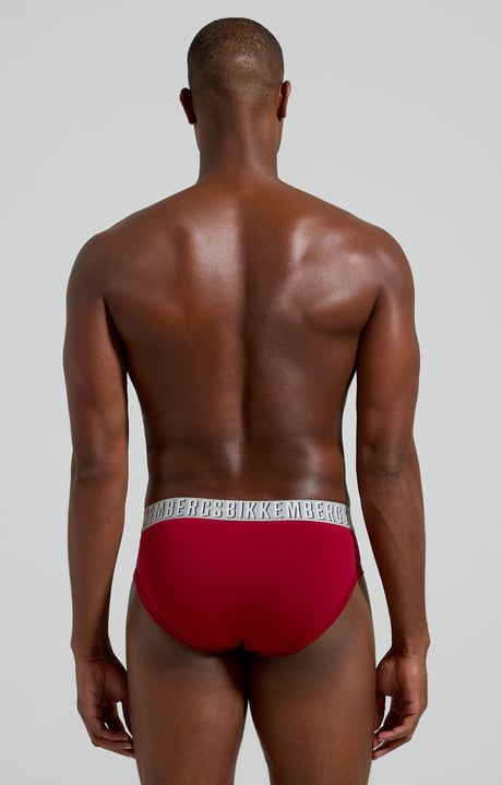 2-pack men's briefs, BORDEAUX 2-pack men's briefs, BORDEAUX, hi-res-1
