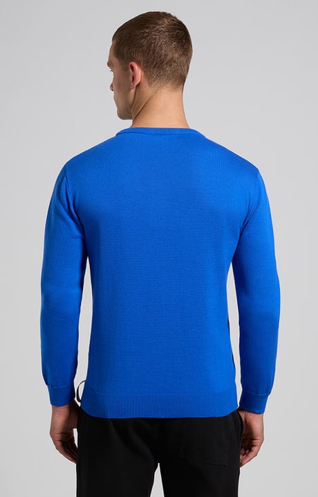 Men's knit pullover with insert panel, SURF THE WEB, hi-res-1
