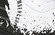 BALMEN, WHITE/BLACK, swatch-color