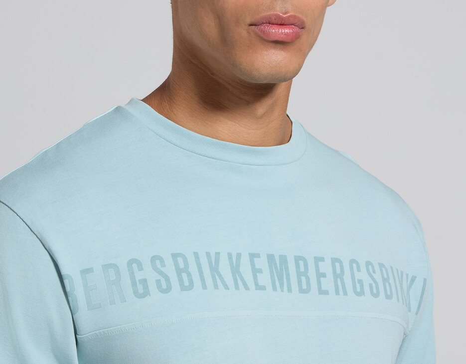 Men's light blue cotton T-shirt with burnout print, STERLING BLUE, hi-res-1