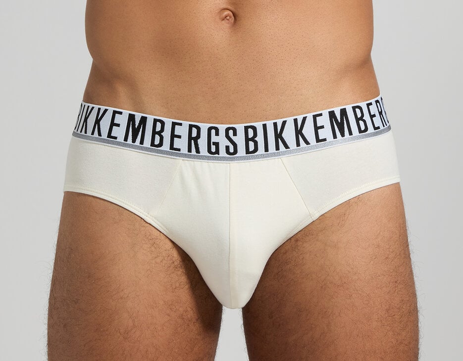 3-Pack men's briefs, FOREST 3-Pack men's briefs, FOREST, hi-res-1