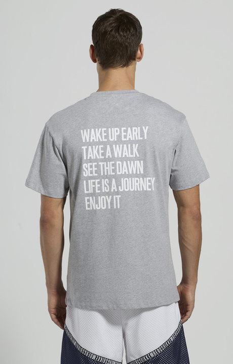 Men's back-print T-shirt, GREY MELANGE MID/LIGH, hi-res-1