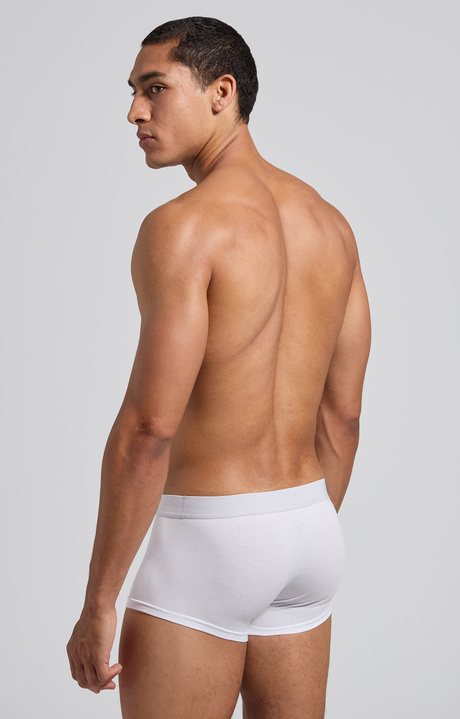 Men's logo waistband trunk tripack, ASSORTED COLOUR, hi-res-1
