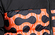 GIUBBOTTO, BLACK/PUFFIN'S BILL, swatch-color