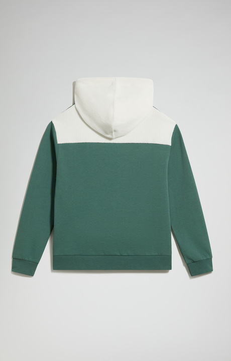 Boys' Cotton Hooded Sweatshirt, DUCK GREEN, hi-res-1