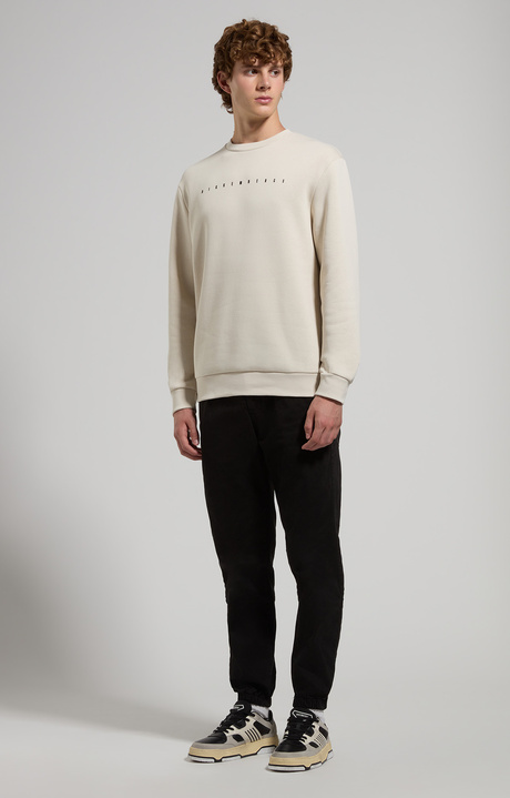 Heavyweight men's sweatshirt, SILVER BIRCH, hi-res-1