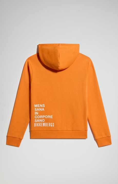 Boy's hoodie, RUSSET ORANGE, hi-res-1