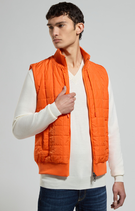 Men's sleeveless jacket, SCARLET IBIS, hi-res-1