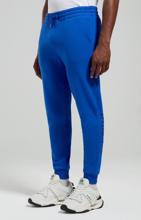 Embroidered men's joggers, SURF THE WEB, hi-res-1